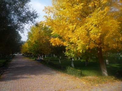 Парк осенью_1